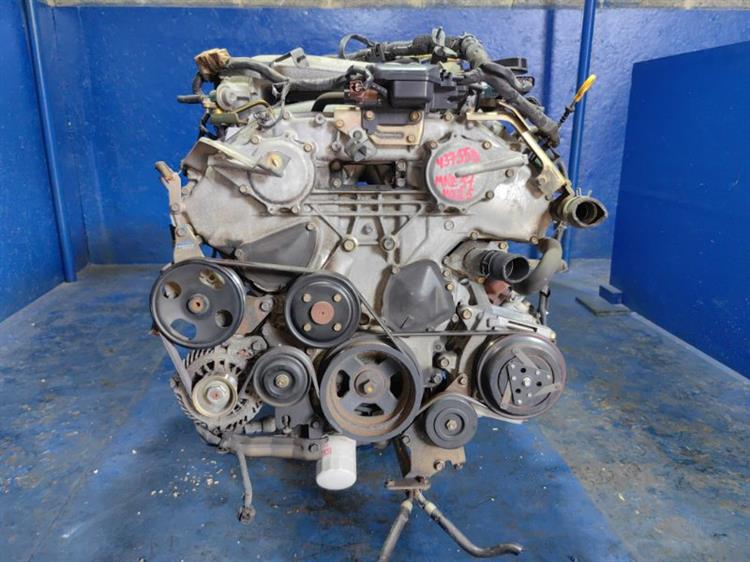 Двигатель Ниссан Эльгранд в Ноябрьске 437558