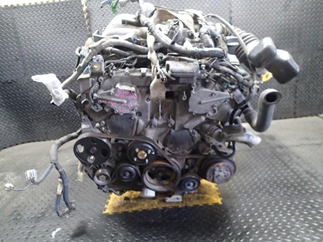 Двигатель Ниссан Эльгранд в Ноябрьске 91118